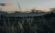 这世界多么美好