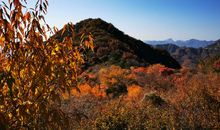 快乐的峡谷之行