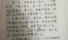 丝丝母爱款款情作文