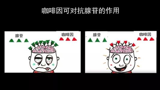 让低调帮助我们成功