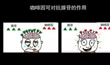 让低调助我们成功