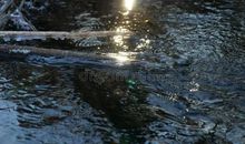 假如太阳结冰了