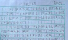 心灵的选择作文