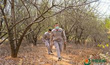 心，为生命而震动