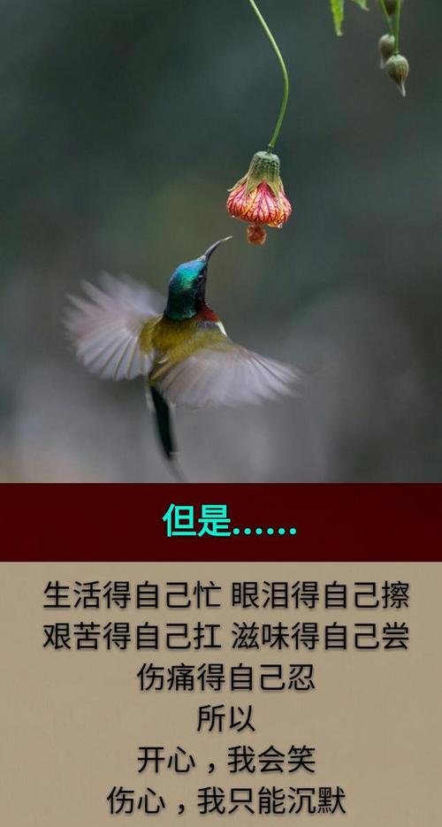 我不拒绝过风雨。