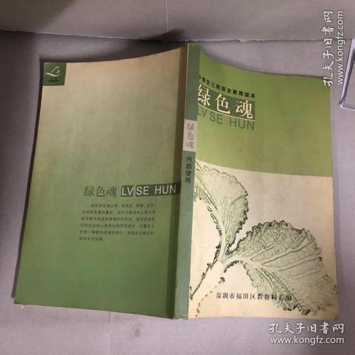 书中的书