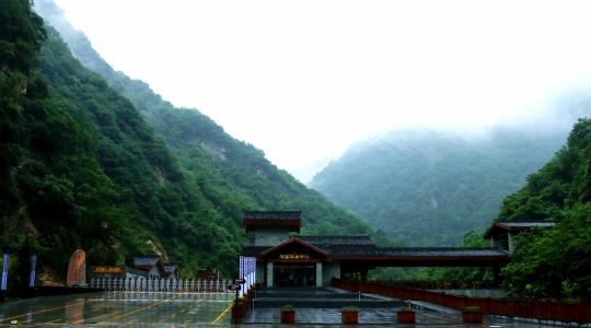 森林公园之旅