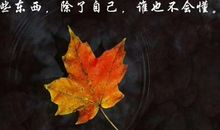 留点疯狂给自己