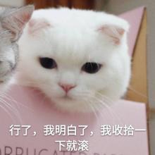 我了解他