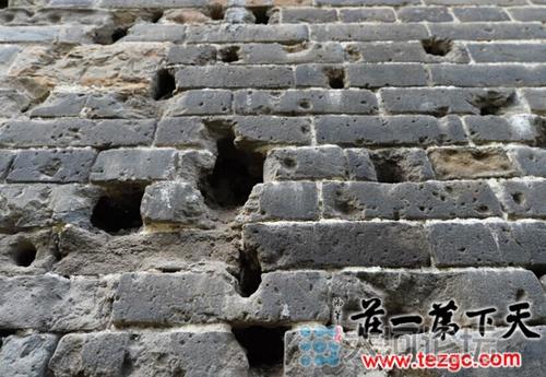 墙作为证词