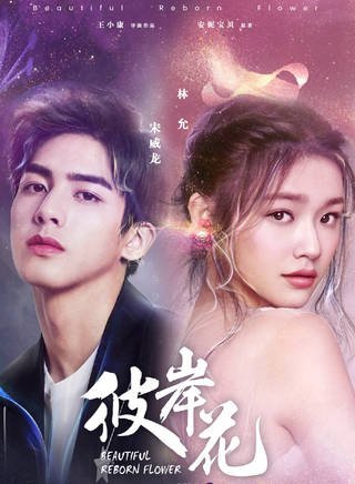 说“趋势”
