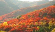 红叶谷之旅