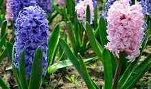 那一次我读懂了珍惜