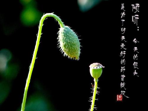 我用我的心倾听。