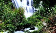 这也是风景作文