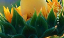 面对极限，战胜自我