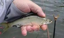 有种味道叫做思念