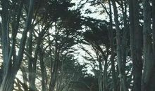 从生命中体现人性美