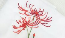 坚强的阳光执着的彼岸——读《菱子的抉择》有感