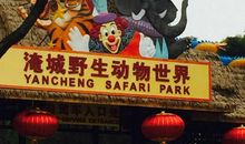畅游淹城野生动物园