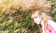 逝去的幸福依旧