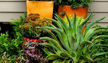 给心灵一个停靠点