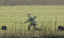 都是打狗惹的祸