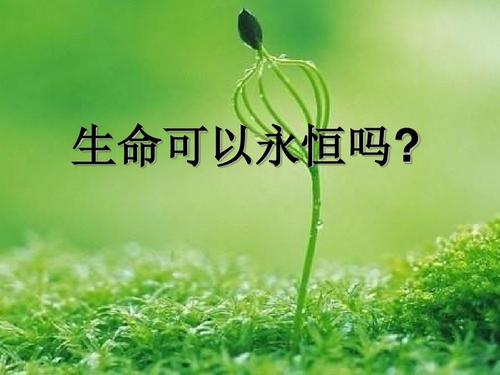 生活永恒的圈子