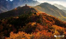 用秋筑成梦的墙