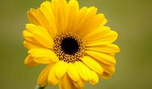 念着想着温暖着