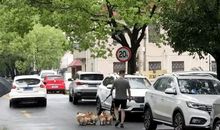 读《一条冰棒》有感