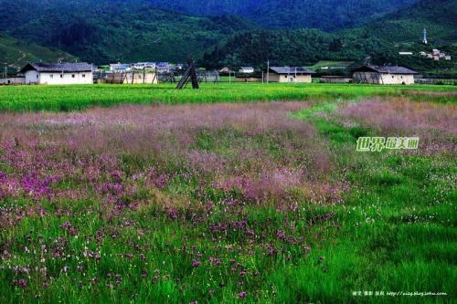 荒野