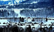 写在冬季里的感悟