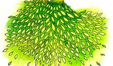 一点一滴看变化