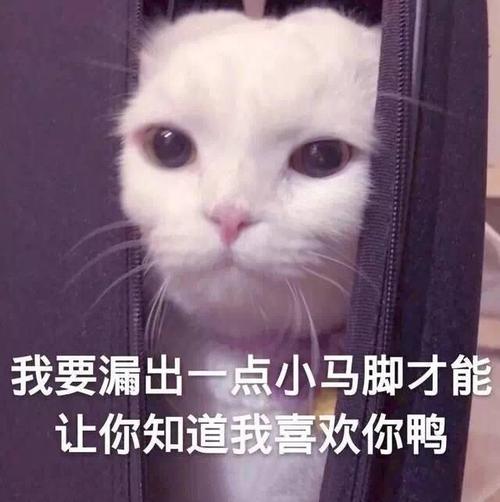我想了解你。