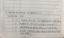 《老师的眼晴》读后感