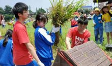 农村的趣味生活