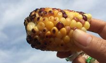 那一天阳光灿烂