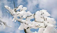 冬的情怀，雪之浪漫