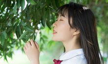 风把我吹向何处