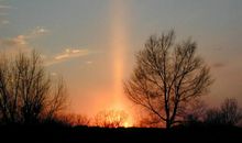 令人惊异的生命世界