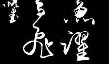 海阔凭鱼跃，天高任鸟飞