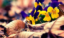 幸福其实就在身边