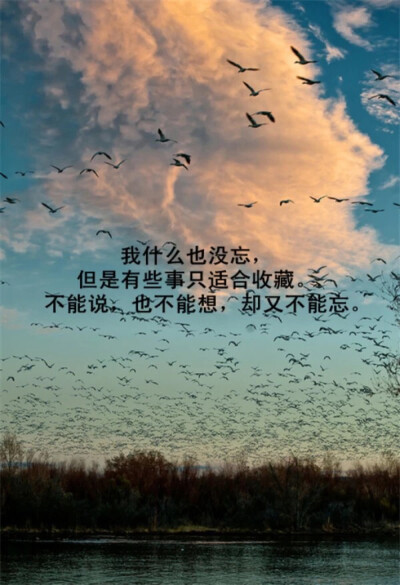 生活不仅仅是新的