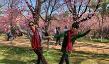 让生命如花绚丽