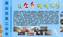 找准位置方能绽放光彩