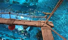 青岛极地海洋世界之旅