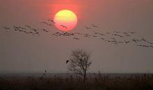 穿越永恒的生命