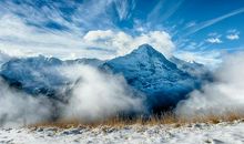 令人惊异的创新世界