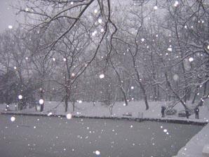 开雪